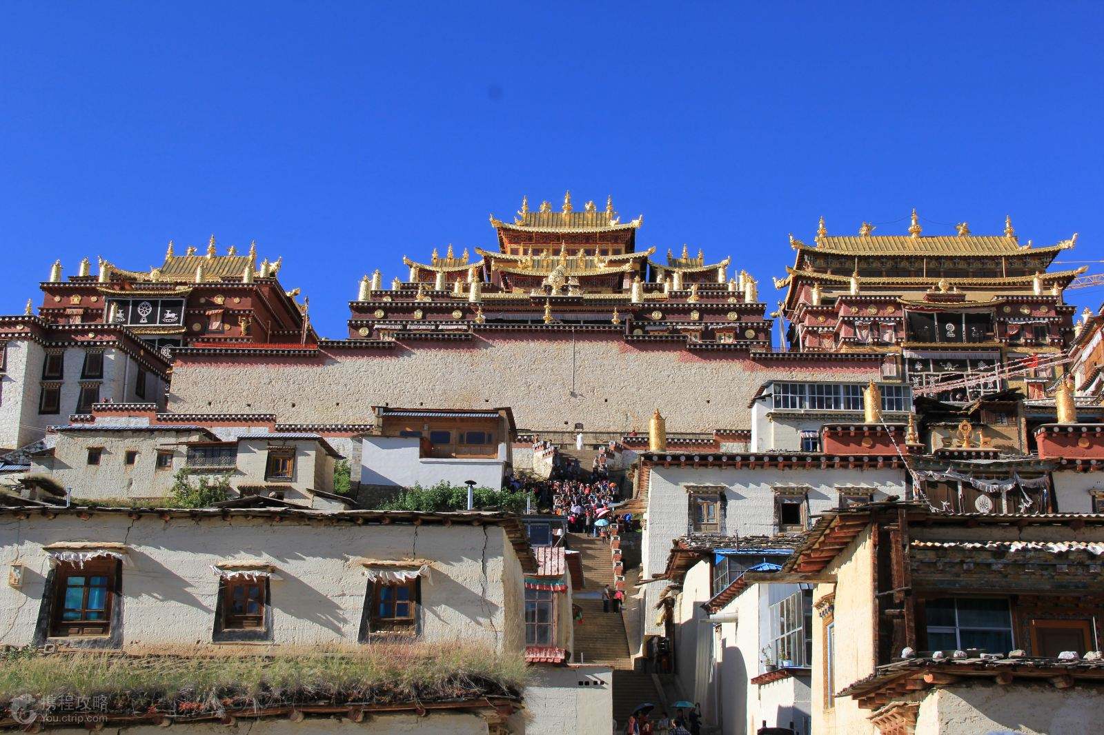 C位丽大香武汉、丽江（大索、蓝月谷）、大理（洱海大游船、南诏风情岛、双廊下午茶）、香格里拉（普达措、独克宗、虎跳峡）双飞六日游