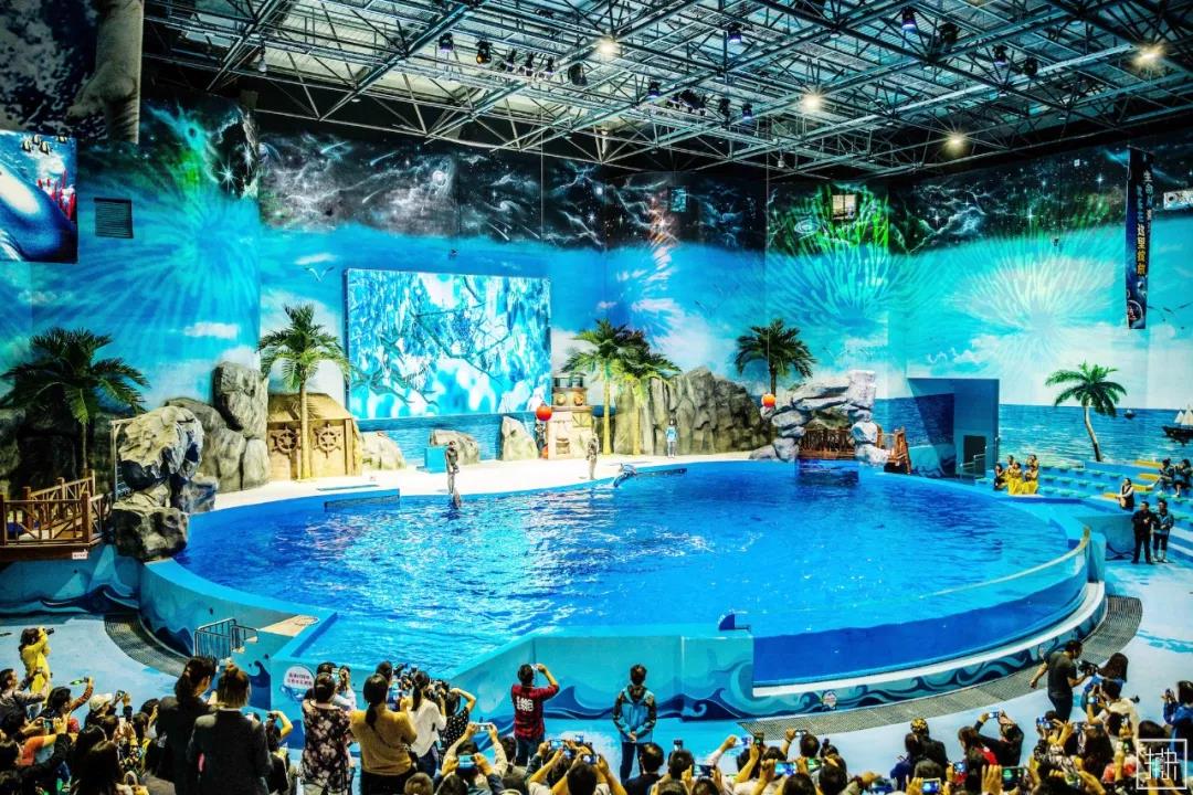 荆州小梅沙海洋世界+荆州博物馆一日游