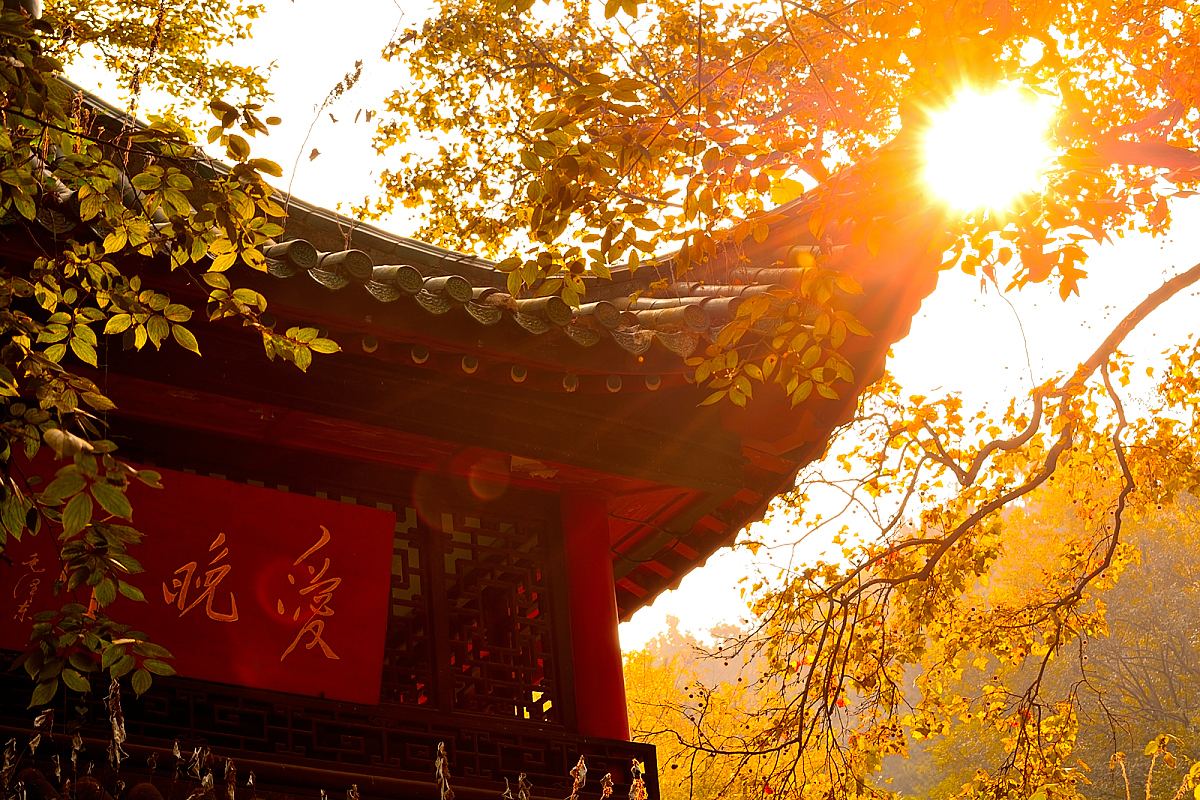 湖南红色金三角双卧5日游