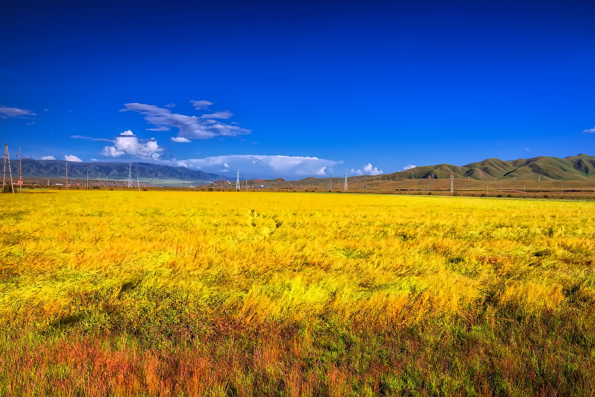 【青海+甘南】青海湖、茶卡盐湖、拉卜楞寺、塔尔寺、甘加草原、金银滩草原、原子城纪念馆精选品质纯玩双飞6日游