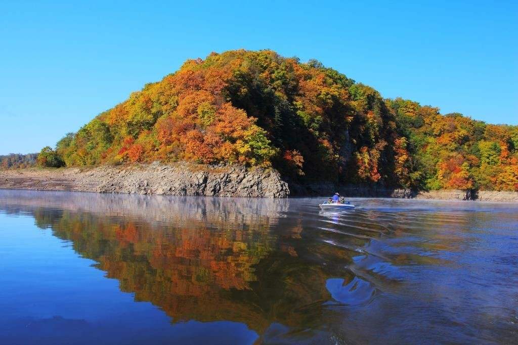  荆门市山水国际旅行社：您好，我们没有“便宜的纯玩团”